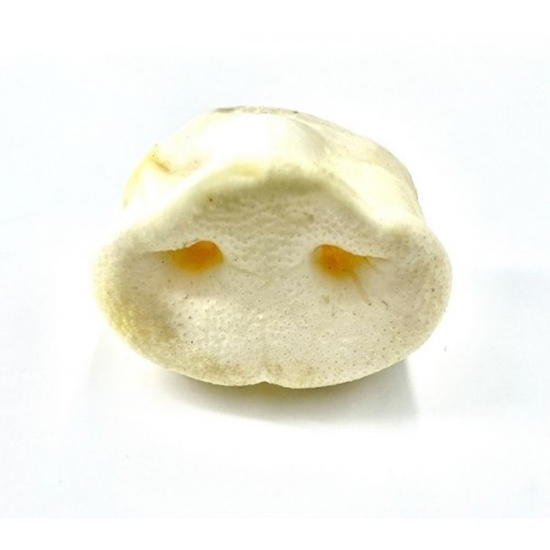 Picture of JR PETS PUFFED Single Pork Snouts